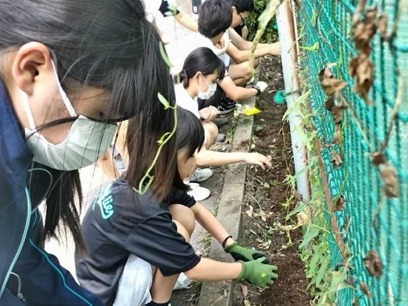 園芸委員会による石巻震災ひまわりの種まき