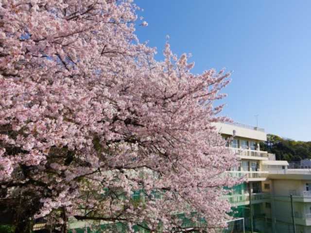 令和5年度が始まりました【4月1日（土）】