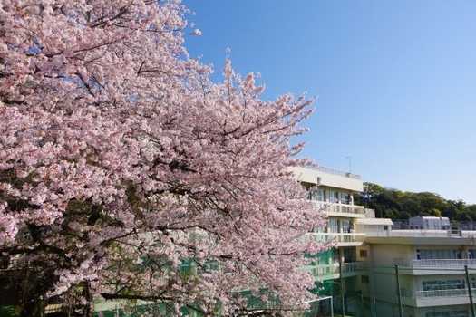 令和5年度が始まりました